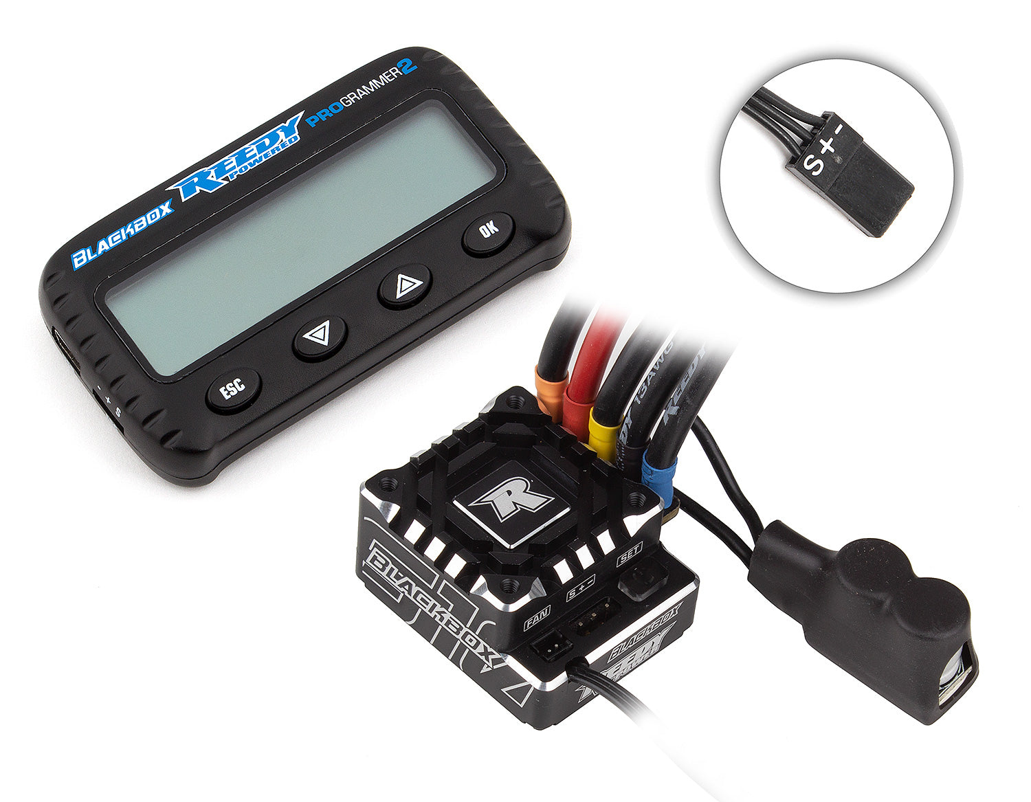 Reedy Blackbox 610R Competition ESC w/Programmer