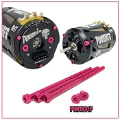 PUNISHER/DRAG MASTER MOTOR ALUMINUM PINK SCREW SET PUN1031P