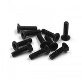 Flat Head Hex Screw M2x8mm 10pcs (XP-40260)