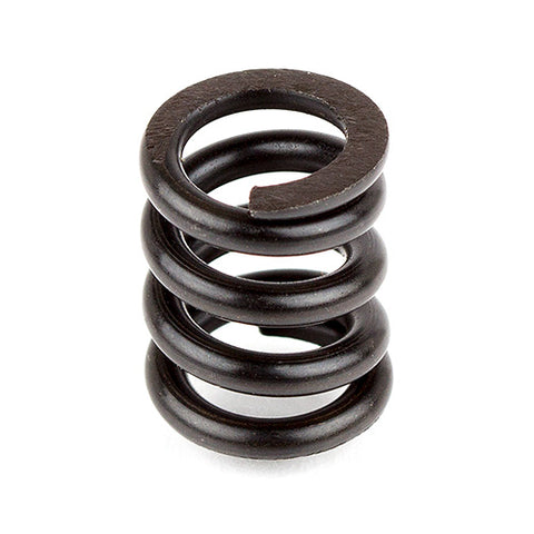 Slipper Spring