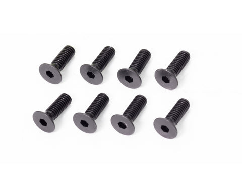 <B02412>  M4x12mm FLAT HEAD SCREW (8pcs)