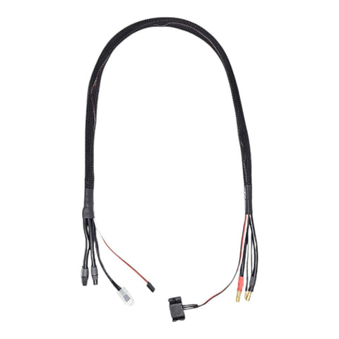 RCD 2S 50A Synchronous Charge Cable (XT60 & 5mm) with Temperature Sensor