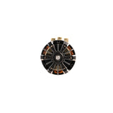 Hobbywing XeRun V10 G5 (ROAR APPOVED)